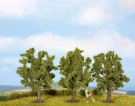 Fruit Trees thumbnail