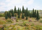 Fir Trees with Planting Pin thumbnail