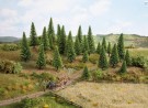 Model Spruce Trees, extra high thumbnail
