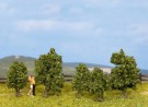Bushes thumbnail