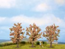 Fruit Trees thumbnail