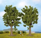 Beech Trees 2 pieces, 13 cm high thumbnail