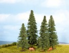 Fir Trees thumbnail