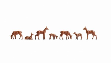 Roe Deer