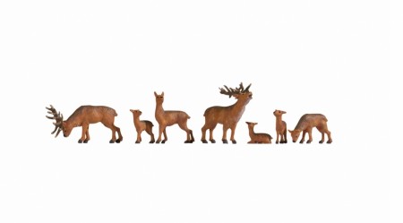 Deer
