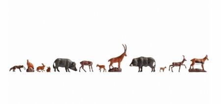 Forest Animals