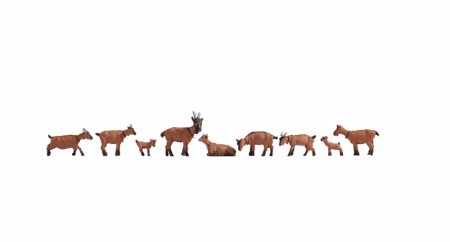 Goats