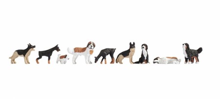 Dogs