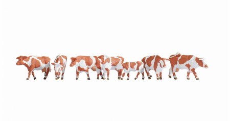 Cows, brown-white