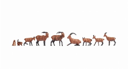 Alpine Animals