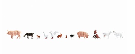 Farm Animals