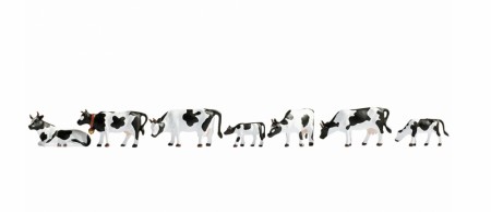 Cows, black-white