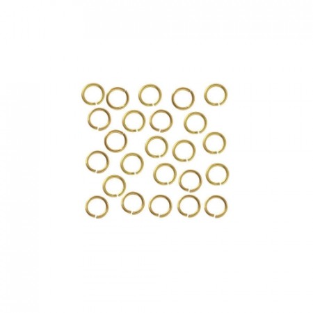 17006 - Ring / Anilla 6mm