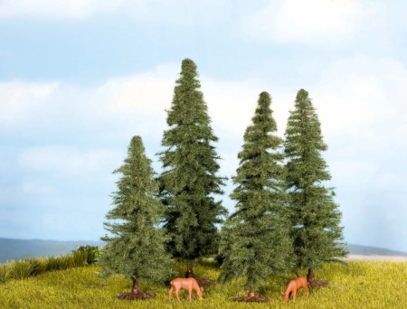 Fir Trees